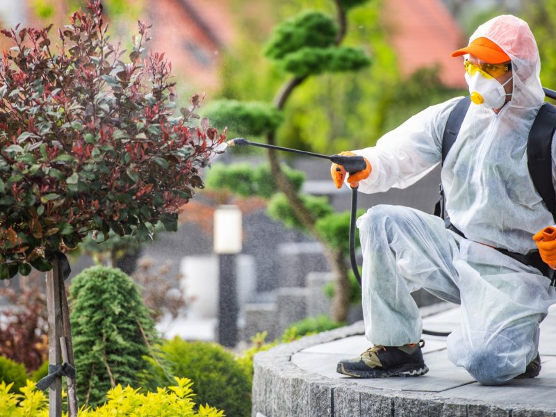 Şereflikoçhisar Haşere İlaçlama